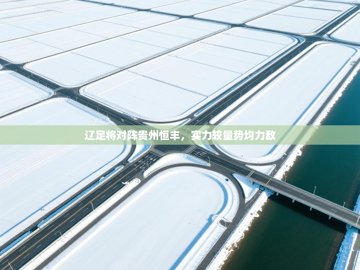 辽足将对阵贵州恒丰，实力较量势均力敌  第2张