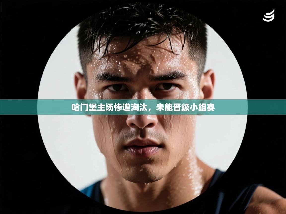 哈门堡主场惨遭淘汰，未能晋级小组赛